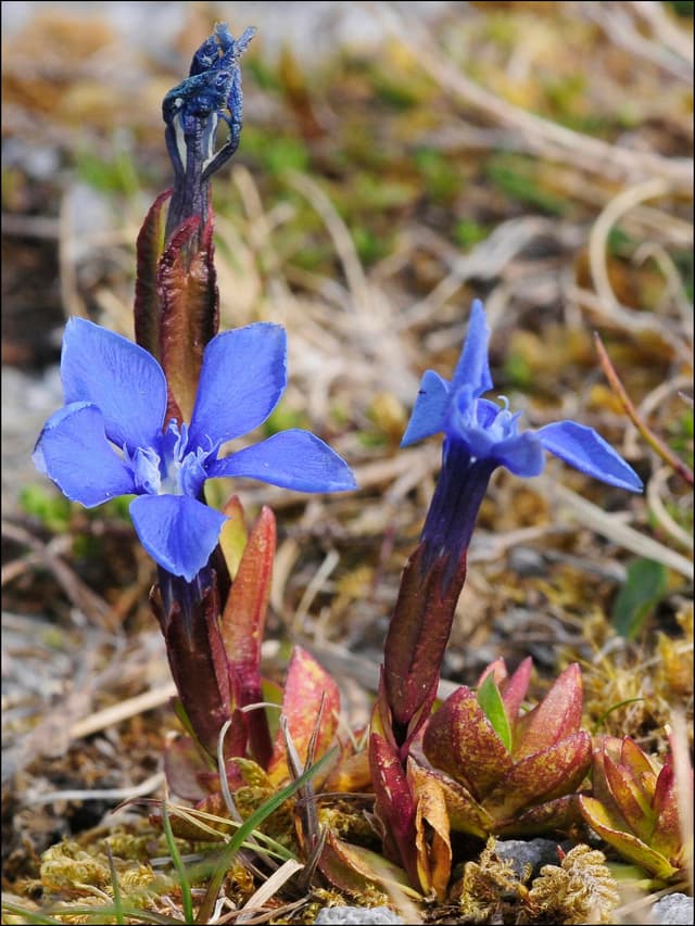 Image 10