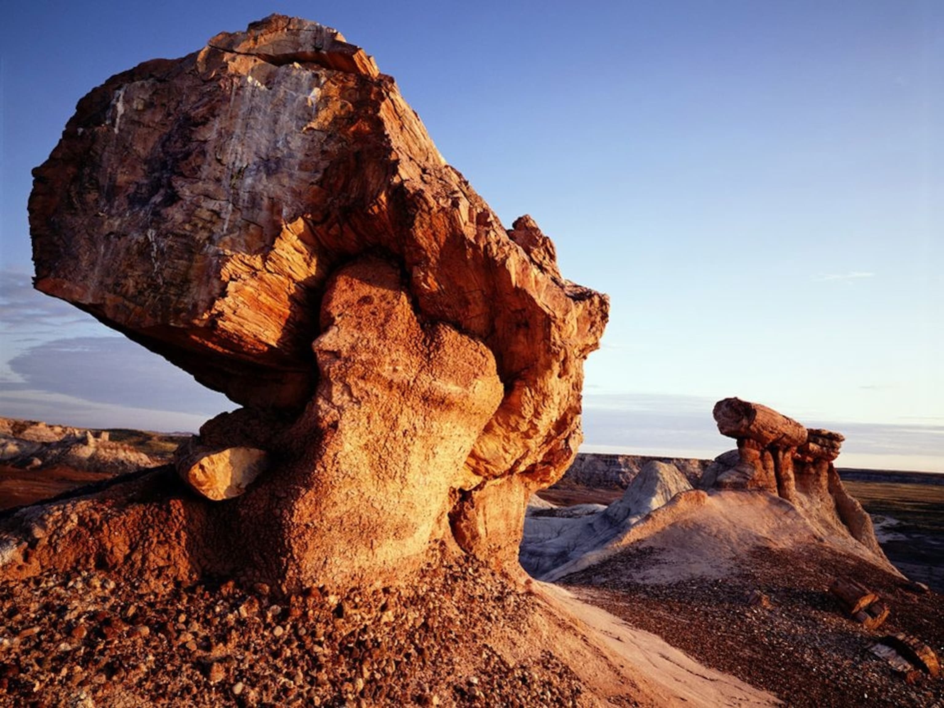 Petrified Forest National Park