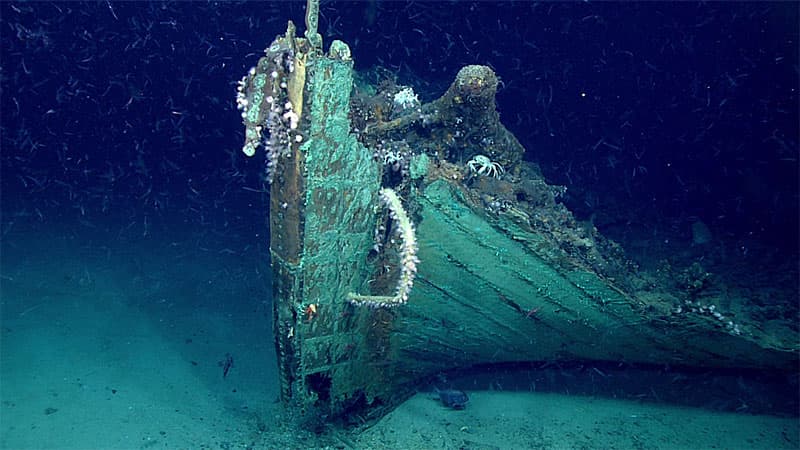 Shipwrecks & Archaeology
