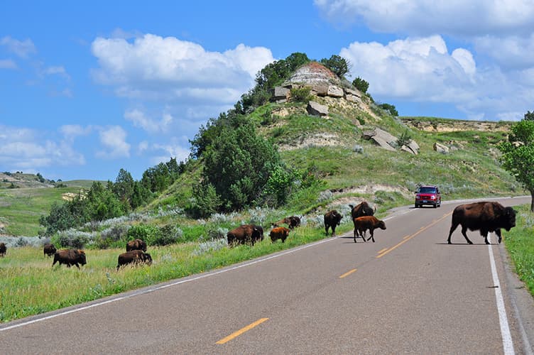 Theodore Roosevelt National Park