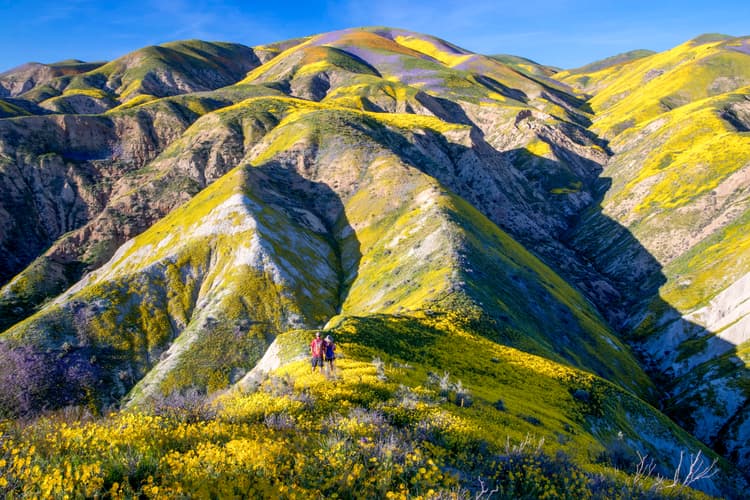 Carrizo Plain