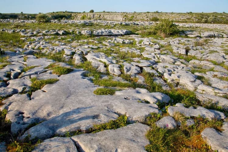 Burren National Park