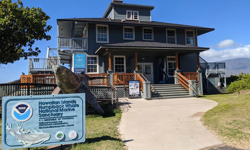 Humpback Whale Sanctuary