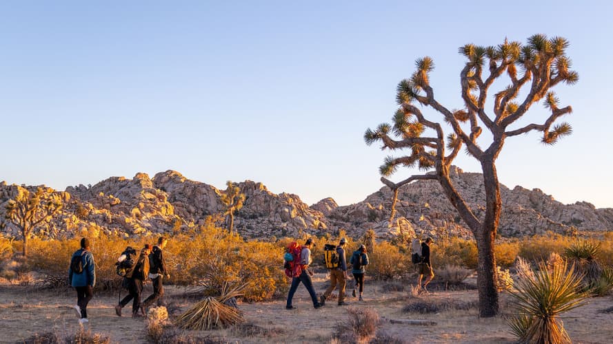 11 Best Hikes in Joshua Tree National Park