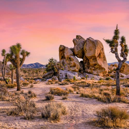 150: Exploring Joshua Tree National Park