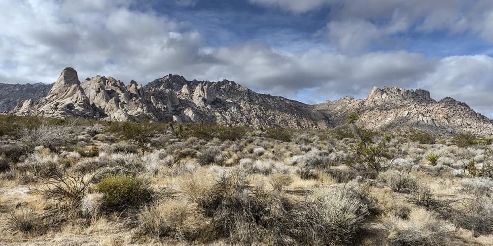 What to do in California's Mojave National Preserve