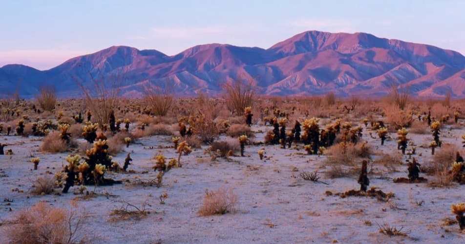 Anza-Borrego Desert State Park | Visit California